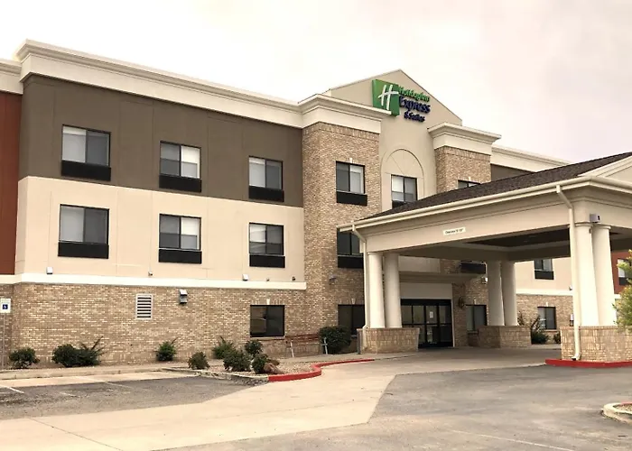 Best Cat Friendly Hotels in Las Vegas